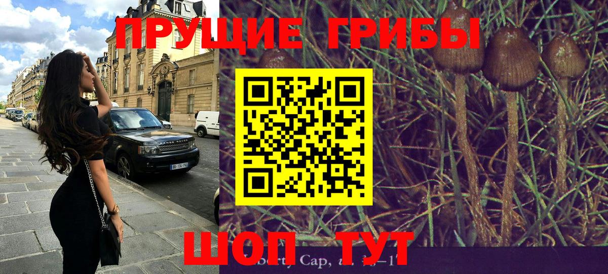 Коммунар  где продают наркотики  Вход с VPN  Галлюциногенные грибы Magic Shrooms 
